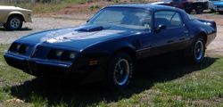 1979 Pontiac Trans Am black original